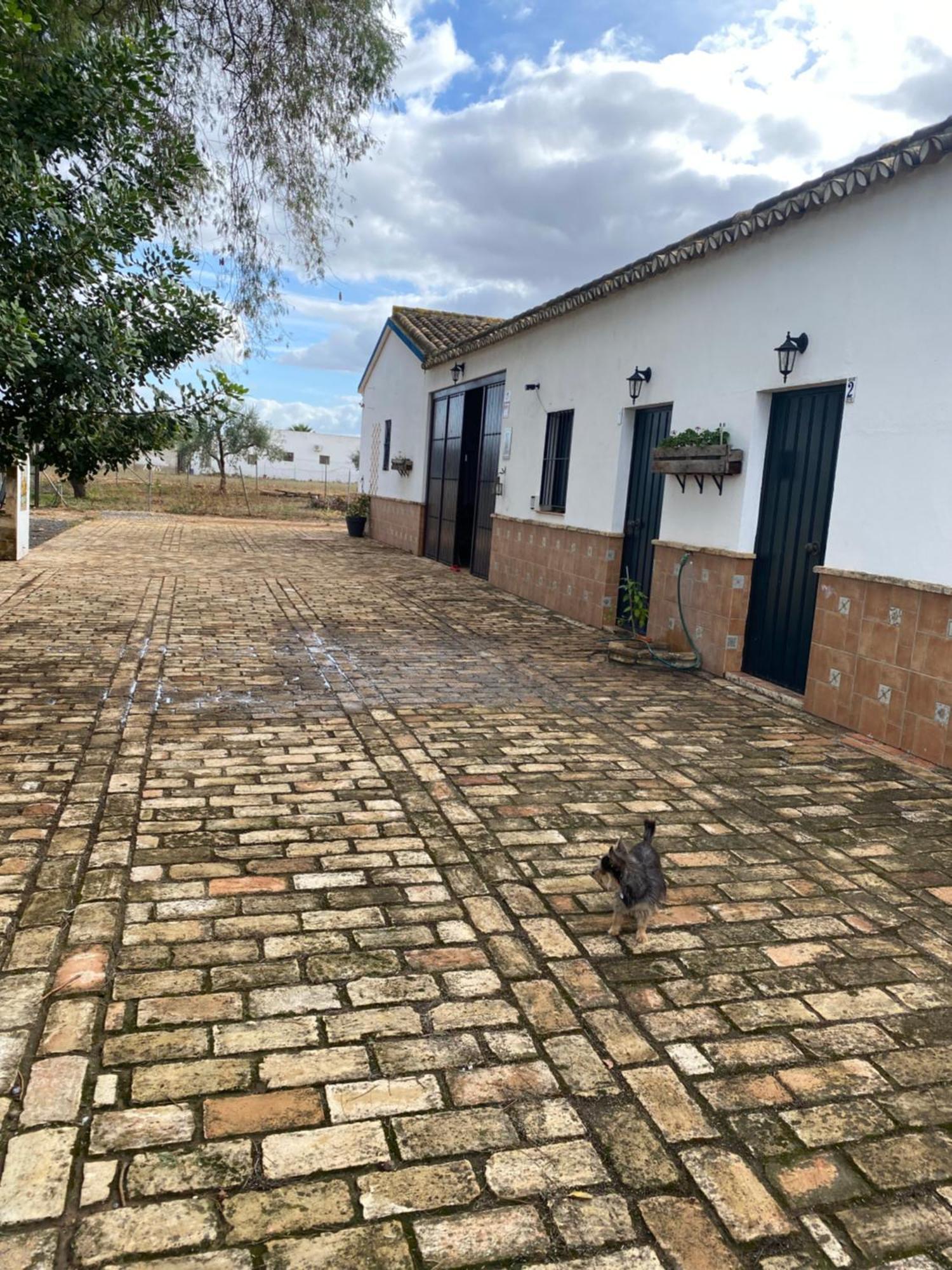 Casa Los Laureles Pilas المظهر الخارجي الصورة