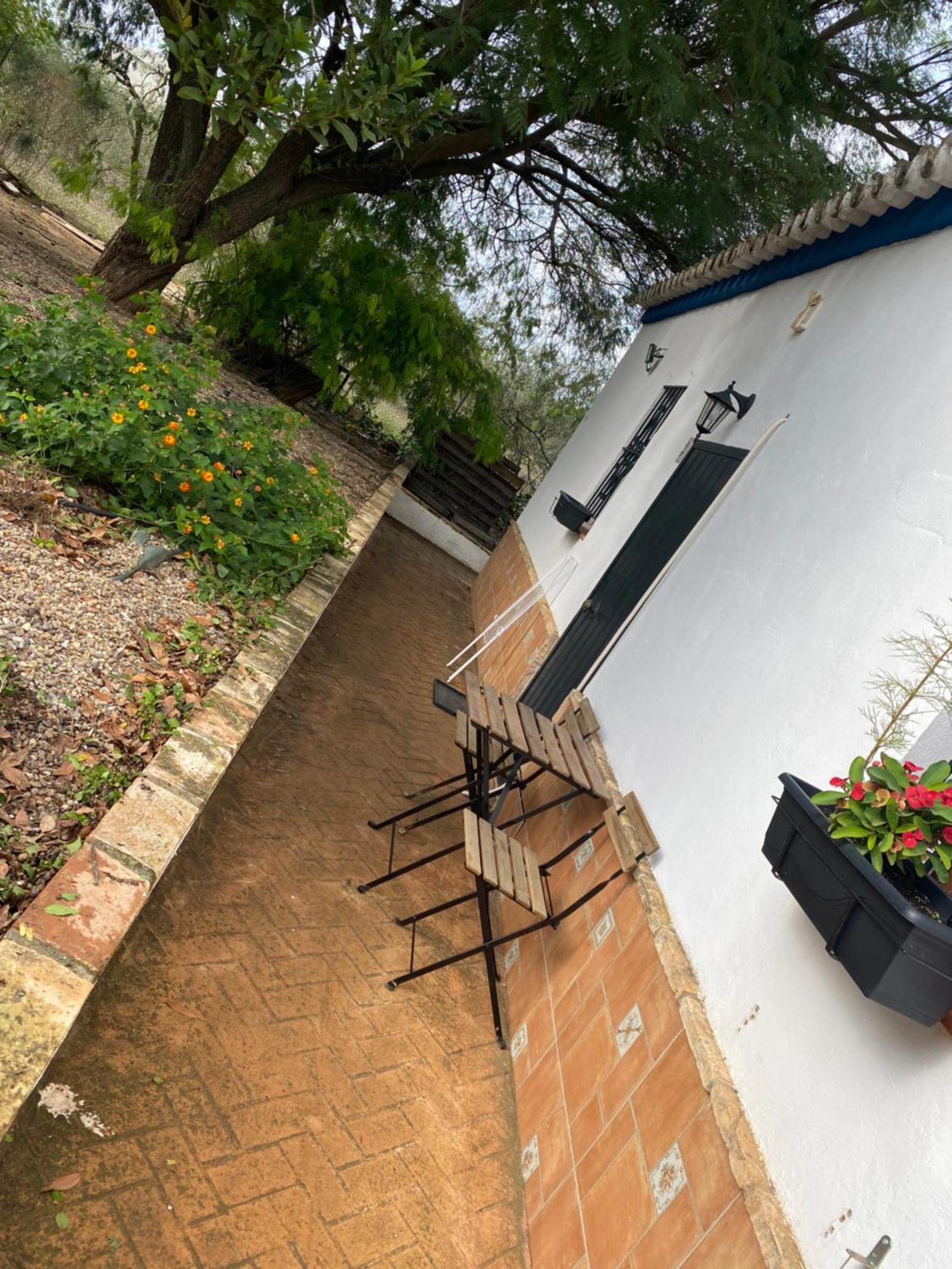 Casa Los Laureles Pilas المظهر الخارجي الصورة