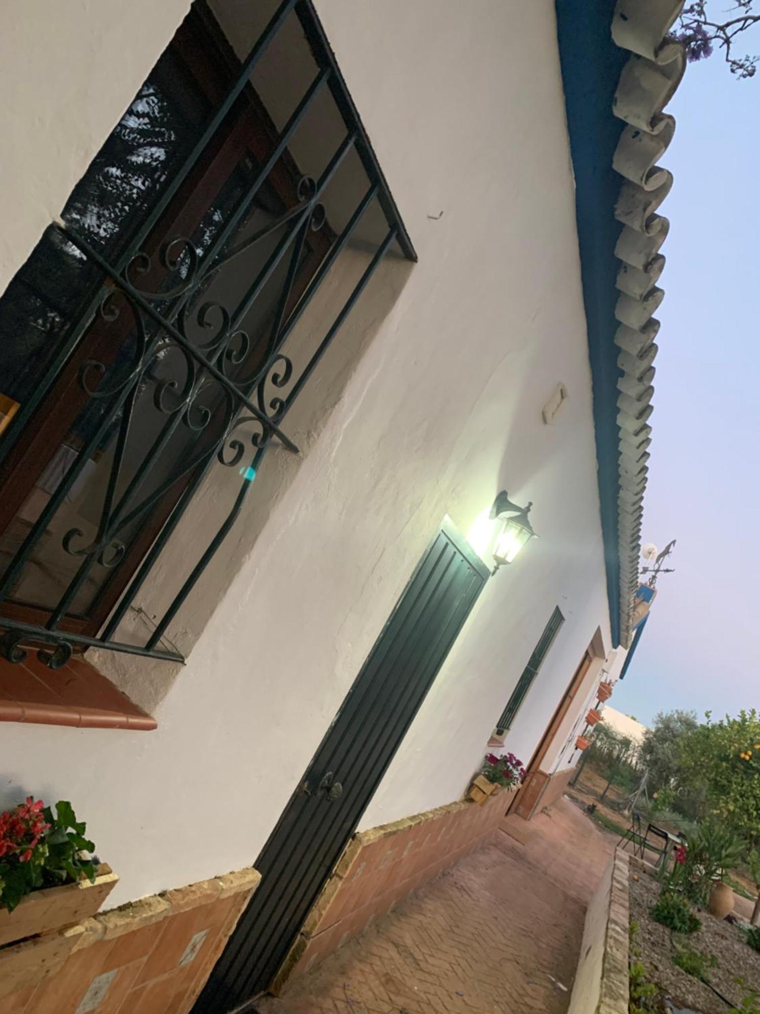 Casa Los Laureles Pilas المظهر الخارجي الصورة