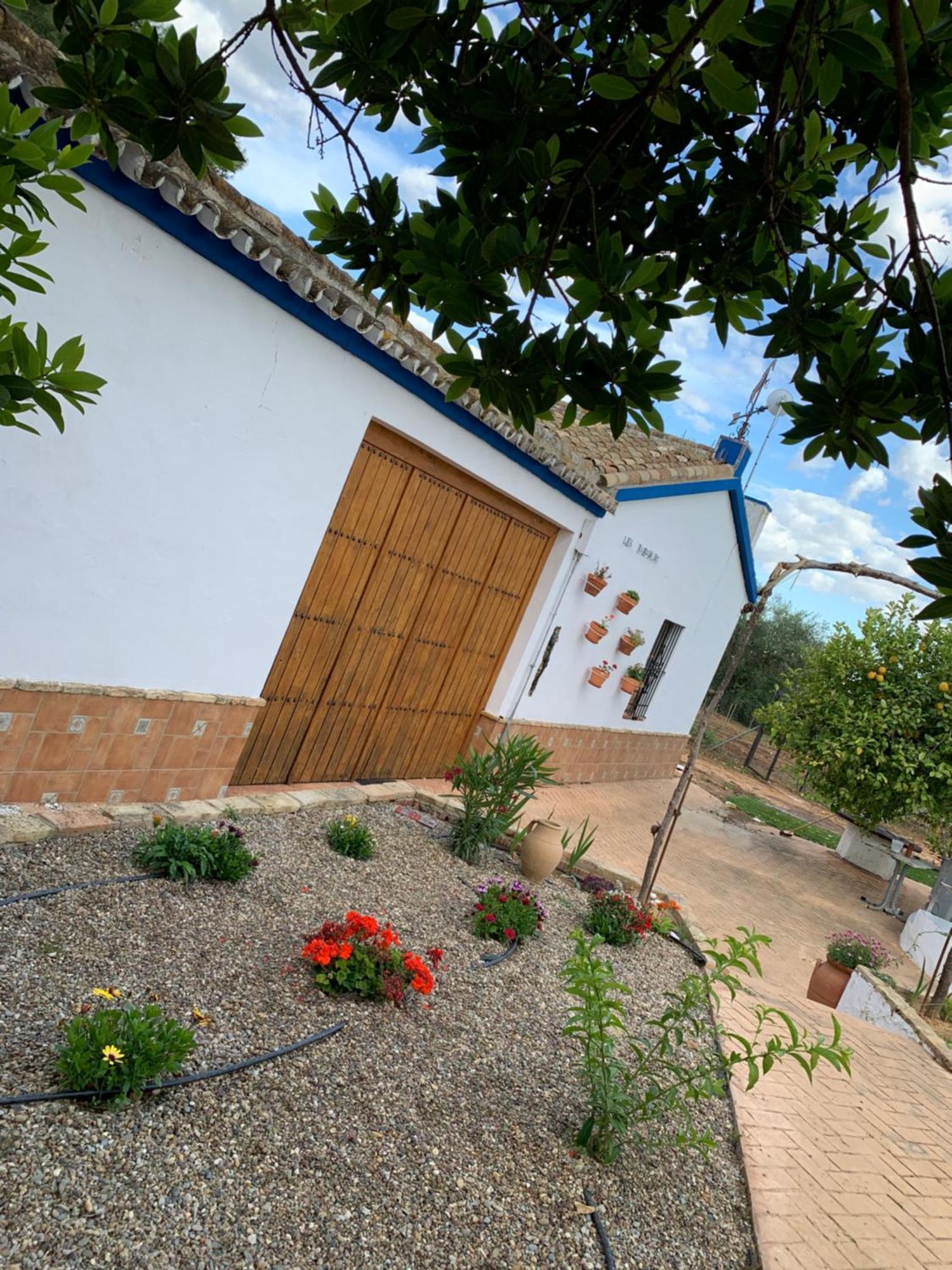 Casa Los Laureles Pilas المظهر الخارجي الصورة
