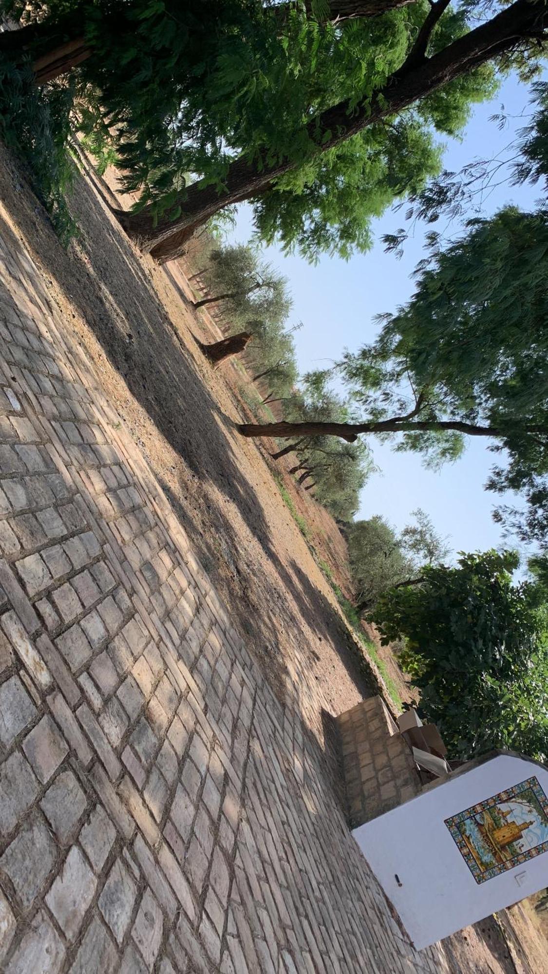 Casa Los Laureles Pilas المظهر الخارجي الصورة