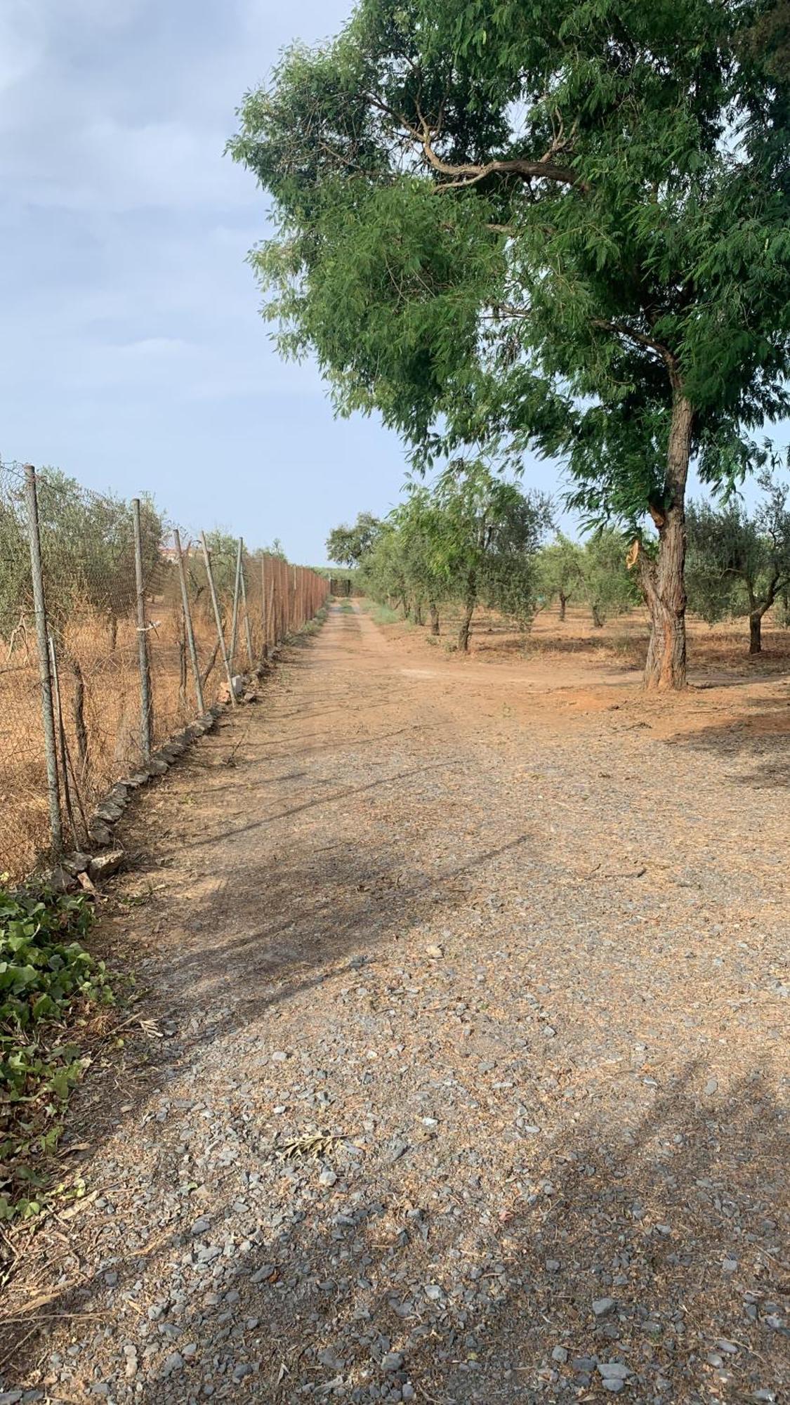 Casa Los Laureles Pilas المظهر الخارجي الصورة
