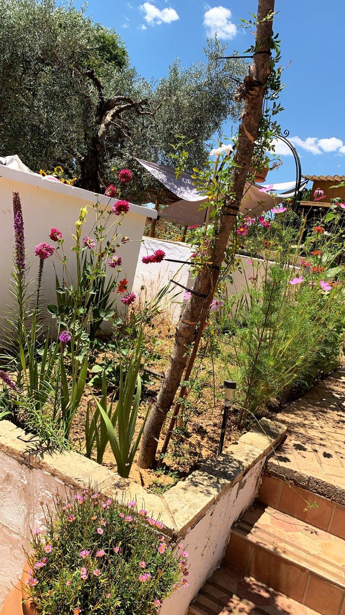 Casa Los Laureles Pilas المظهر الخارجي الصورة